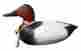 0000002634562 Craft-tex 30002hp 12 In Canvasback