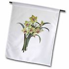 0190133318506 3drose Flowers Lent Lily