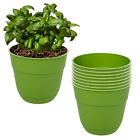0410f24 Suncast 8pk 4 Fern 044365022710 0410f24 Suncast 8pk 4 Fern 044365022710