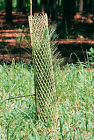 1.4x36 Norplex Rigid Seedling Protector Tubes 3-1 4 X 36 Pk Of 250