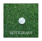 1007-1 Seeds2go Penncross Creeping Bent 760680312588 1007-1 Seeds2go Penncross Creeping Bent 760680312588