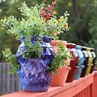 2376 Craftware Strawberry Planting Pot Jar Strawberries 6 Pockets Fresh Fruit Garden Gardening 768855052376