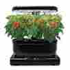 239497 Miracle Gro Aero Garden Harvest Seeds Herb Bulb Hydroponic System Vegetable New 703457239497 239497 Miracle Gro Aero Garden Harvest Seeds Herb Bulb Hydroponic System Vegetable New 703457239497
