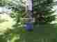 Tmw-33 24-inch Timber Tuff Claw Green 732393003343 Tmw-33 24-inch Timber Tuff Claw Green 732393003343
