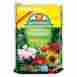 308237 Asb Greenworld All Purpose Potting Soil With Nine Month Fertilizer 3 Box 045571081805 308237 Asb Greenworld All Purpose Potting Soil With Nine Month Fertilizer 3 Box 045571081805