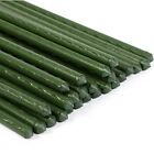 30inch/2.5ft Garden Stakes 50pcs Plant Plastic Coated Steel Tube Tomato S