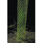 3869 Tubex Rigid Seedling Protector Tubes Of
