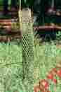 4x36 Norplex Rigid Seedling Protector Tubes 4 X 36 Pk Of 250