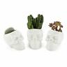 52706688 Modern Skull White Ceramic Succulent Planter Pot Ct 816615171840