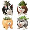 53748599 Buy Max Mini Ceramic Doggy Planter Pot With Drainage Hole