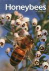 561042904 Us Patio Garden Honey