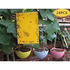 606276302932 Anianiau High Efficiency Yellow