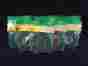 623969 Momentum Brands 12 Packs Flexible Plant Stretch Tie Green No 0.45 In X 150 Ft Each 876416116433