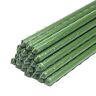 659516289074 Yidie Sturdy Metal Garden Plant Stakes Ft Plastic 659516289074 Yidie Sturdy Metal Garden Plant Stakes Ft Plastic