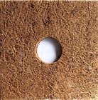 683203883016 Coirplus Inc Premium Coco Caps Pieces