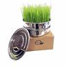 683332402119 Natural Roots Stainless Steel Seed Sprouting Tray Inch