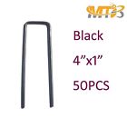 713049953502 Mtb 50 4 Sod 713049953502 Mtb 50 4 Sod