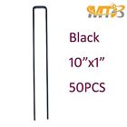 Mtb50 713049953601 Mtb 50 10 Sod Mtb50 713049953601 Mtb 50 10 Sod