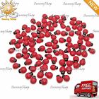 7449681450682 Branded 100 Ladybug Miniature