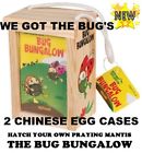 85761040403 We Got The Bugs