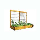 898410002192 Gronomics Raised Garden Bed