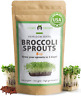 8oz Broccoli Seeds For Sprouting High Germination 8oz Broccoli Seeds For Sprouting High Germination