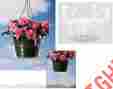 95409 Wmg Set Of 3 Plastic Hanging Planter Basket Water Catchers 8 741011279602