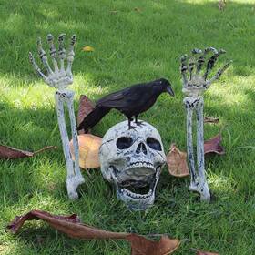 Asklwy01 Aiseno Realistic Skeleton Stakes And Crow Halloween Decorations For Lawn Gray Asklwy01 Aiseno Realistic Skeleton Stakes And Crow Halloween Decorations For Lawn Gray