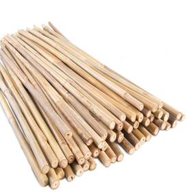 B0btgnqfzx Anothera 50x 2ft Natural Bamboo Garden Stakes Plant Support Poles For Indoor Outdoor B0btgnqfzx Anothera 50x 2ft Natural Bamboo Garden Stakes Plant Support Poles For Indoor Outdoor