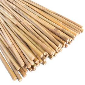 B0btgrd922 Anothera Garden Bamboo Stakes 0.32-0.4 Inch X4ft 50-pack Natural Plant Support B0btgrd922 Anothera Garden Bamboo Stakes 0.32-0.4 Inch X4ft 50-pack Natural Plant Support