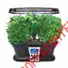 B00o9grtc8 Aerogrow Indoor Gourmet Herb Garden Survival Space Saver Growing Green Environment B00o9grtc8 Aerogrow Indoor Gourmet Herb Garden Survival Space Saver Growing Green Environment