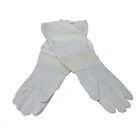 Bee-v103m Vivo Medium Beekeeping Gloves Goatskin Bee Keeping With 818538021943 Bee-v103m Vivo Medium Beekeeping Gloves Goatskin Bee Keeping With 818538021943