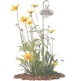 H435 Bosmere Bulk Wren Garden Stakes With Stainless Steel Tags Pack Of 50