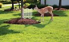 Built Deer Wrap Package Tree Repellent Guard 32.45 Brown Protection 6 Built Deer Wrap Package Tree Repellent Guard 32.45 Brown Protection 6