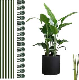Ma0962 Canipha 10pcs Plant Support Stakes With 15pcs Clips Bendable 25pcs