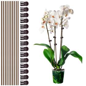 Ma1345 Canipha 10pcs Plant Support Stakes With 15pcs Clips 15.75inch Tall 25pcs