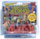 Dccr-0003 Dunecraft Odd Pods Wild 851694000032 Dccr-0003 Dunecraft Odd Pods Wild 851694000032