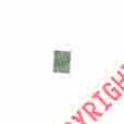 Dewsg12500 Dewitt Seed Guard 042579470051 Dewsg12500 Dewitt Seed Guard 042579470051