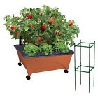 Emsco City Pickers Garden System 072358234796