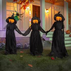 Evergreen 801946042655 Set Of 3 Led Halloween Black Witches With Witch
