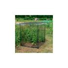 Fruit Gardman Usa 7660 Small 745487076604 Cage Fruit Gardman Usa 7660 Small 745487076604 Cage
