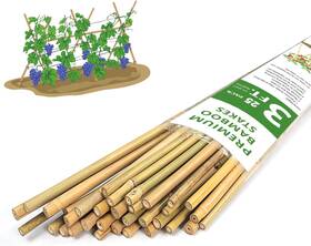 Czg-3 Gaginang Plant Stakes 3ft Longer Sturdy Natural Bamboo Pack Of 25 Light Brown/tan Czg-3 Gaginang Plant Stakes 3ft Longer Sturdy Natural Bamboo Pack Of 25 Light Brown/tan