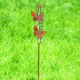Garden Stakes & Rain Gauges 638071786914 Butterfly Duo Gauge