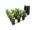 Gfo7kt Active Grow 7-gal Shipping Controller Aqua Flow Free Kit Bucket