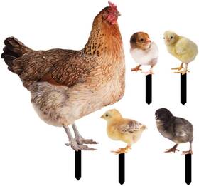 015020c8xi07rk8k Goohochy 1 Set Acrylic Lawn Chicken Stake Decoration Simulation Insert 015020c8xi07rk8k Goohochy 1 Set Acrylic Lawn Chicken Stake Decoration Simulation Insert