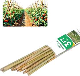 Groovboo 717690261382 3ft Natural Bamboo Plant Stakes For Tomatoes Beans Flowers