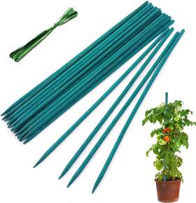 Hainanstry 659438886252 Garden Wood Plant Stakes Green Bamboo Sticks Sturdy 15 Inch