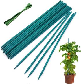 Hainanstry 659438886269 Garden Wood Plant Stakes Green Bamboo Sticks Sturdy 18 Inch Hainanstry 659438886269 Garden Wood Plant Stakes Green Bamboo Sticks Sturdy 18 Inch