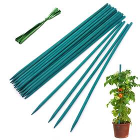 B08yd1fbbd Hainanstry Garden Wood Plant Stakes Green Bamboo Sticks - Sturdy Floral Support B08yd1fbbd Hainanstry Garden Wood Plant Stakes Green Bamboo Sticks - Sturdy Floral Support