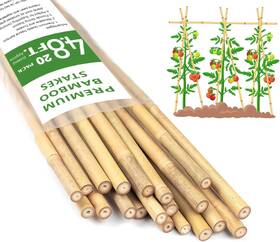 Bamboo146 Hainanstry Plant Stakes 4.8ft Natural Bamboo 20pcs 20pack Bamboo146 Hainanstry Plant Stakes 4.8ft Natural Bamboo 20pcs 20pack
